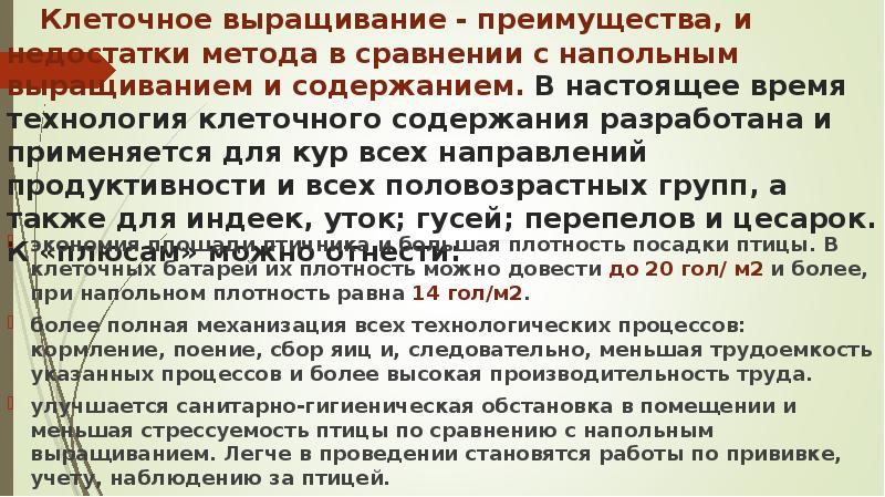 Клеточное выращивание - преимущества, и недостатки метода в сравнении с напольным Клеточное выращивание - преимущества, и недостатки метода в сравнении с напольным