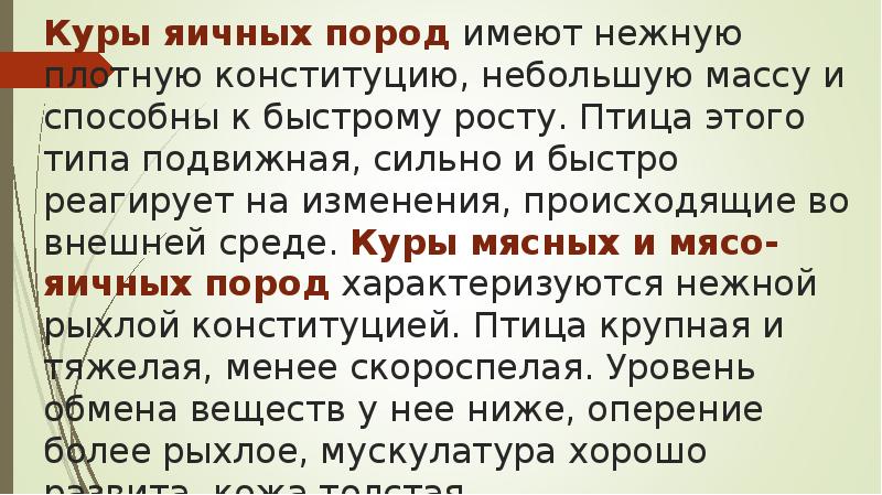 Куры яичных пород имеют нежную плотную конституцию, небольшую массу и способны Куры яичных пород имеют нежную плотную конституцию, небольшую массу и способны