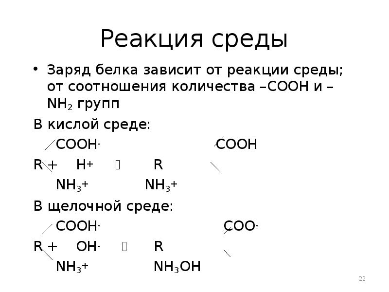 Реакция среды. Белок в щелочной среде. Заряд белка в щелочной среде. Влияние РН среды на заряд белков.