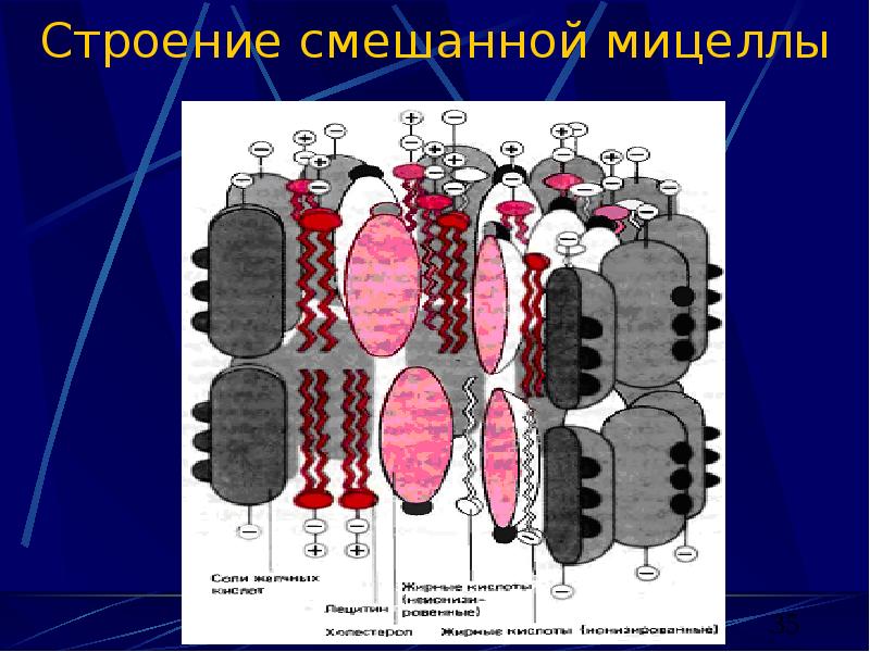 Образование смешанной структуры. Технология смешанного обучения. Строение мицелл желчи. Перевернутый класс модель смешанного обучения. Blended формат обучения это.