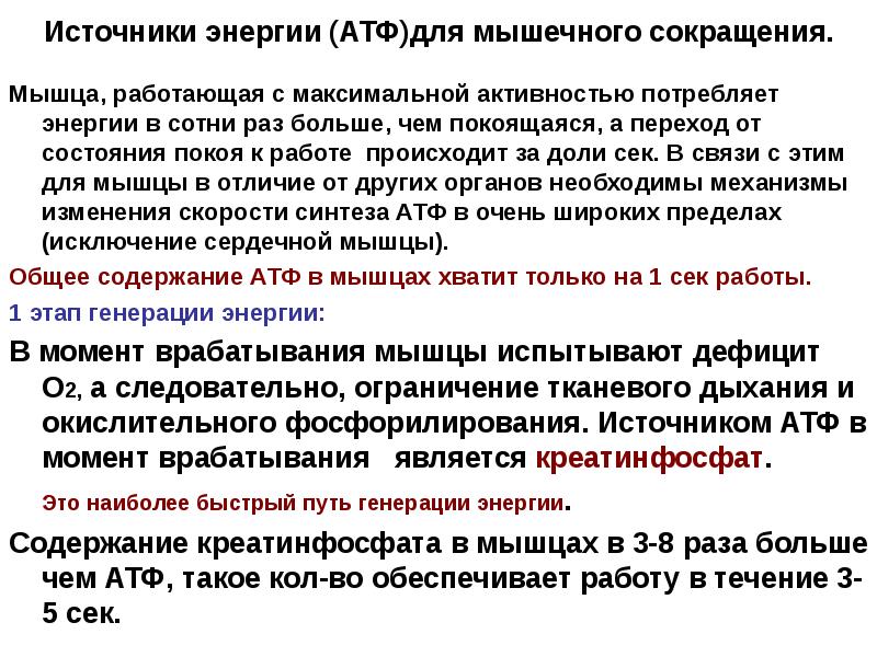основными источниками энергии для работы мышц являются