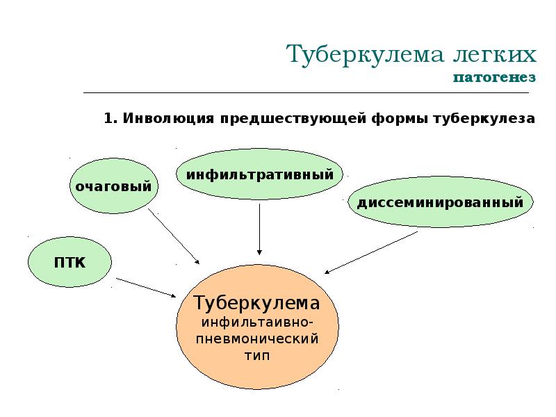 Казеозная пневмония презентация