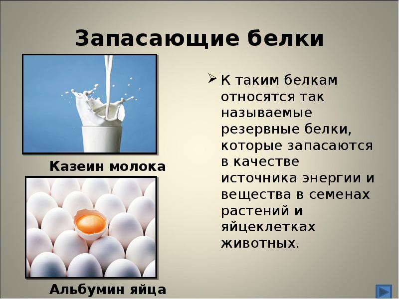 Запасающая функция белка примеры