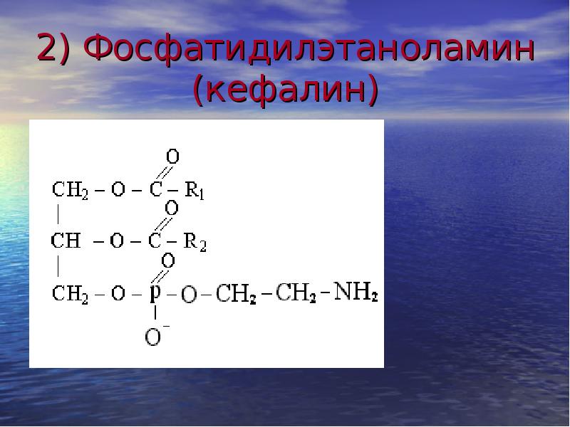 Схема щелочного гидролиза лецитина