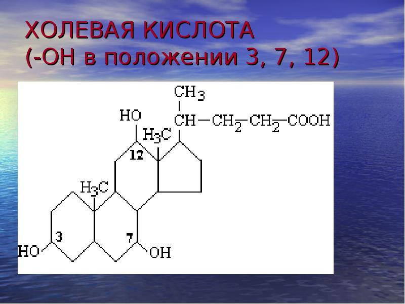 Схема переваривания липидов биохимия