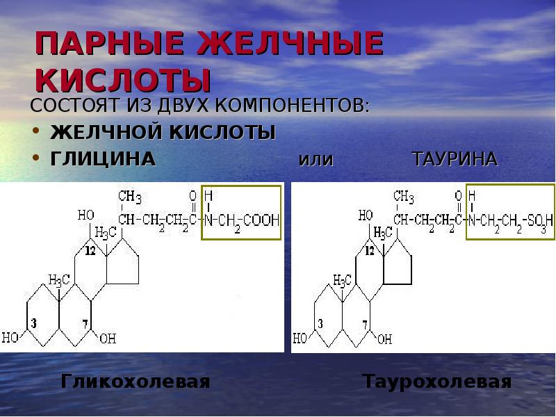 Липиды желчных кислот