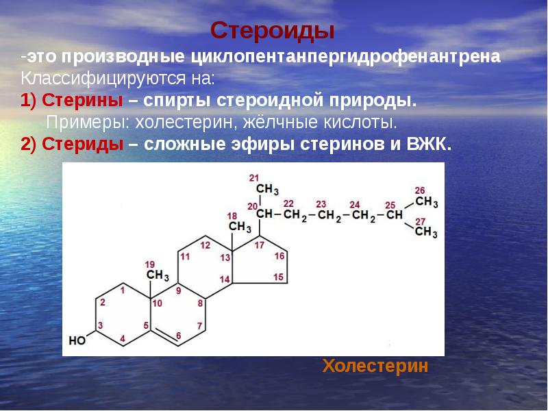 Схема переваривания липидов биохимия