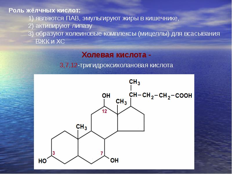 Комплекс кислота. Строение холеиновых комплексов. Химические свойства липидов. Холеиновый комплекс биохимия. Структура холеиновых комплексов.