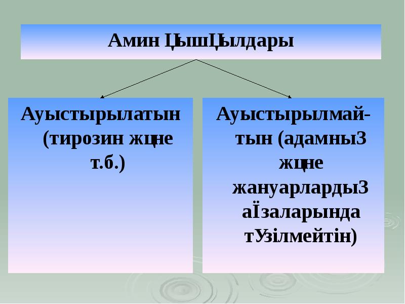 Амин қышқылдары презентация