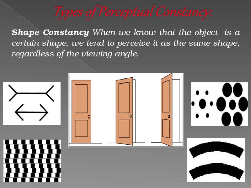 Shape Constancy Examples Perception and illusions