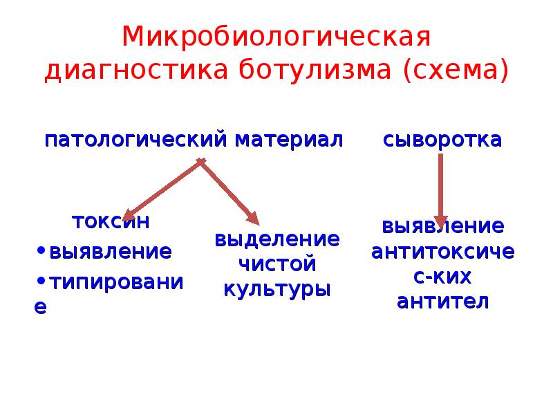 План обследования при ботулизме