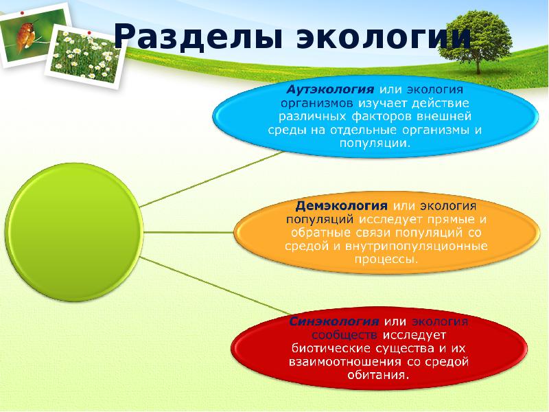 Среда обитания организмов экологические факторы 7 класс презентация пасечник