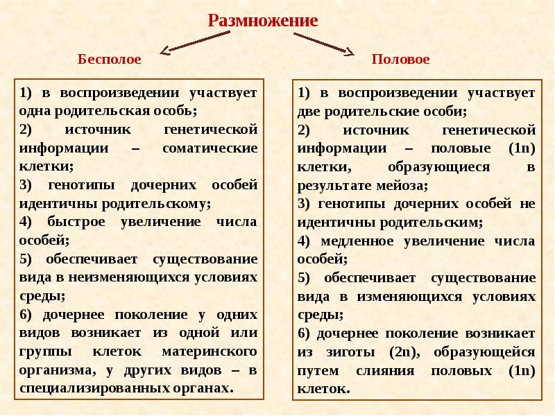 Индивидуальное развитие и размножение организмов презентация