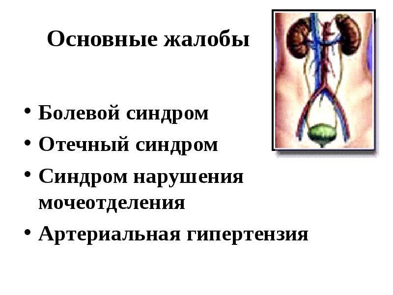 Сестринский уход при заболеваниях мочевыделительной системы презентация