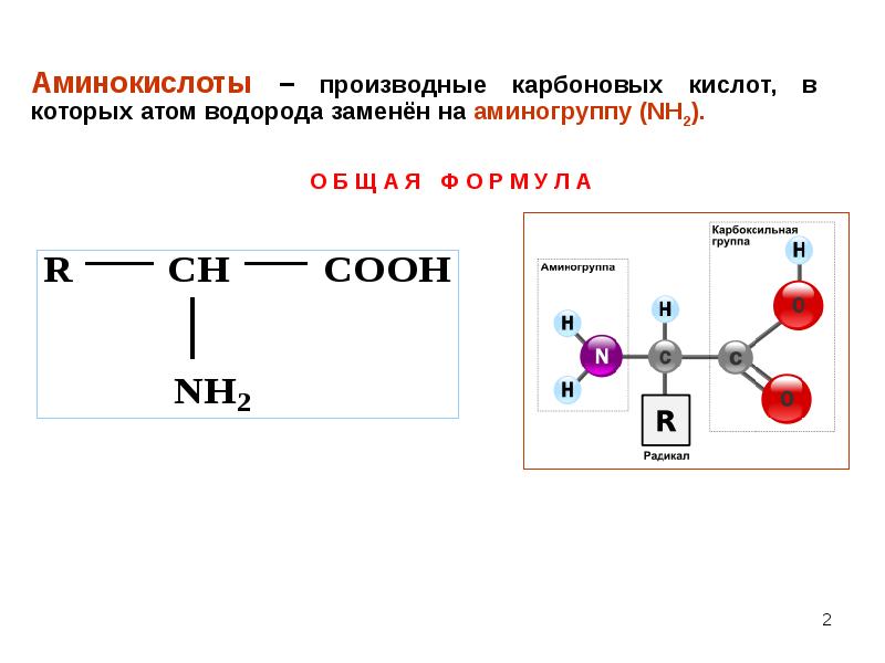 Аминокислоты относятся к соединениям. Карбоксильные аминокислоты формулы. Карбоновые аминокислоты. Аминокислоты это производные карбоновых кислот. Производные аминокислот.