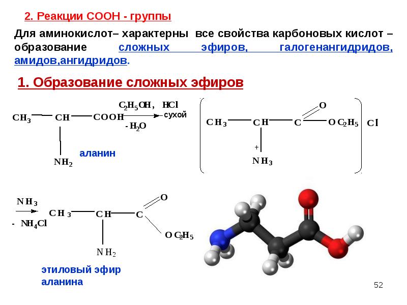 Презентация по химии аминокислоты