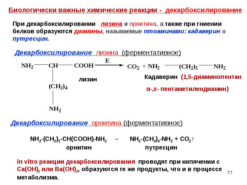 Декарбоксилирование аминокислот реакция. Декарбоксилирование орнитина и лизина. Уравнение реакции декарбоксилирования лизина. Напишите реакции декарбоксилирования лизина. Реакция декарбоксилирования аминокислот.