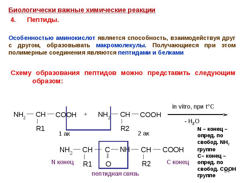 Пептиды химия 10 класс презентация