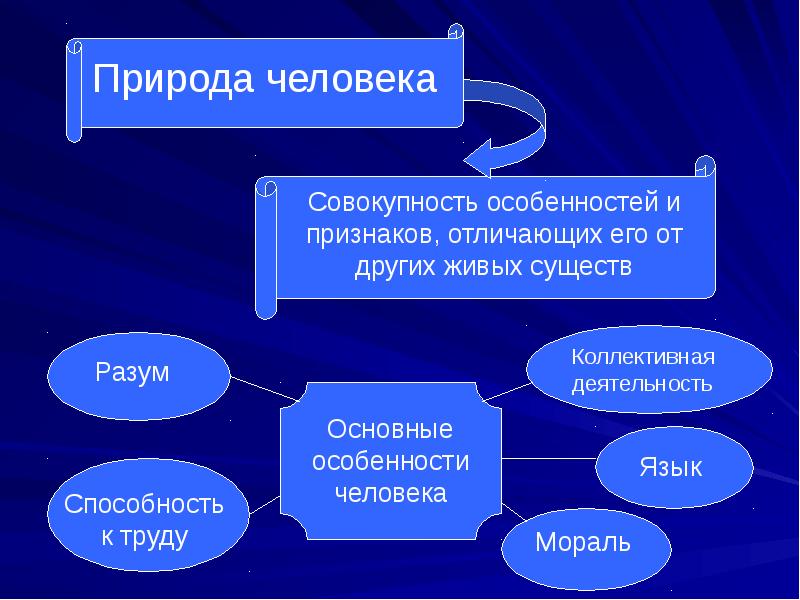 Проблема человека в истории философии презентация