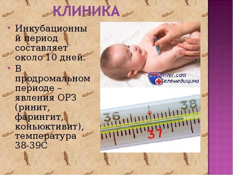 Инкубационный период картинки