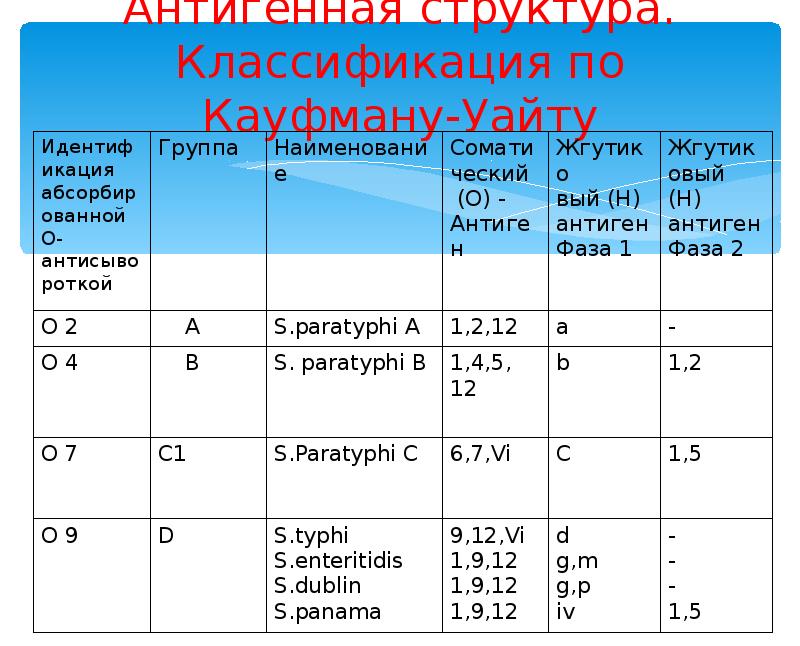 Схема кауфмана уайта сальмонелл