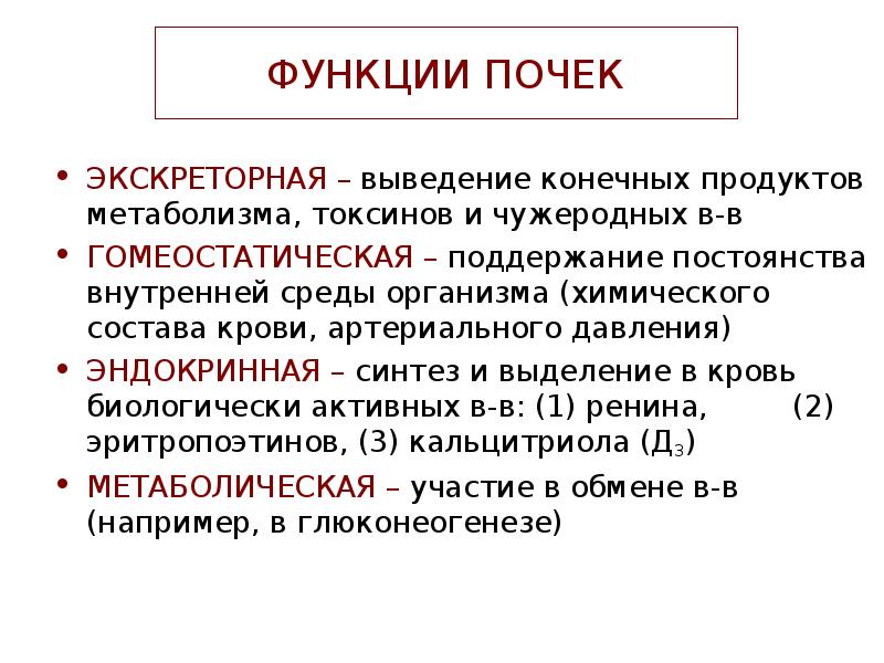 Выведение. Невыделительные функции почек физиология. Эндокринная функция почек. Экскреторная функция почек. Выделительная функция почек.