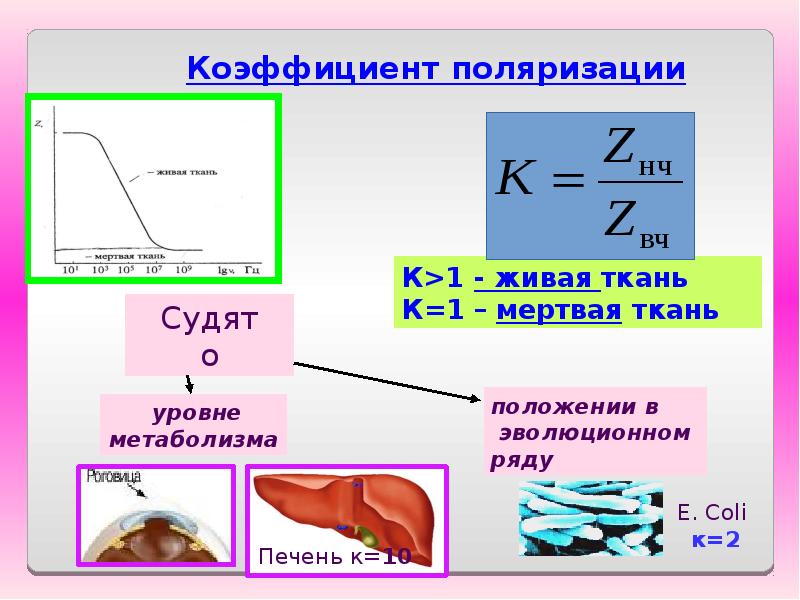 Сопротивление тканей. Импеданс тканей организма. Электрический импеданс живых тканей. Импеданс тканей организма формула. Полное сопротивление тканей организма.