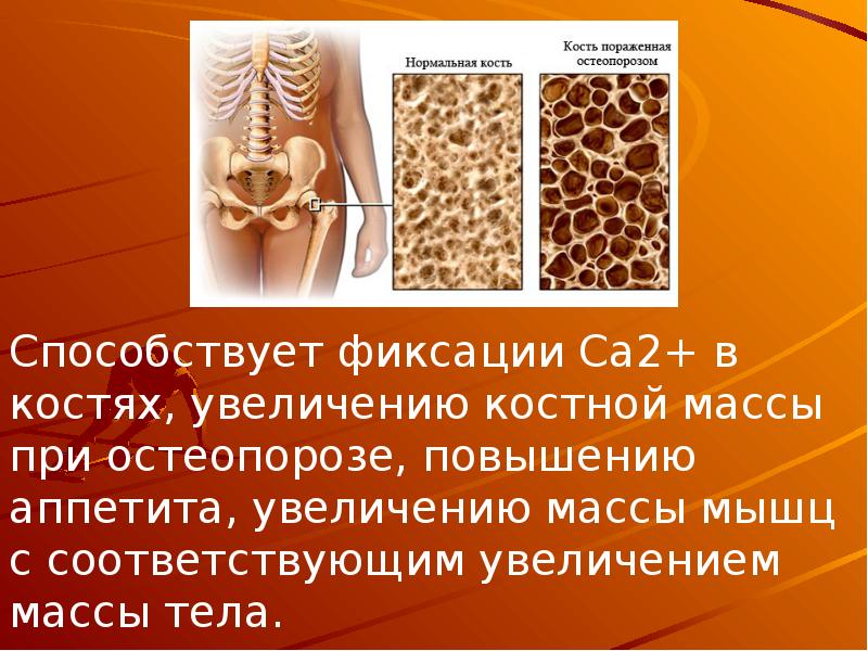 Вес костей. Костная масса. Масса кости человека. Увеличение костной массы. Вес костей человека.