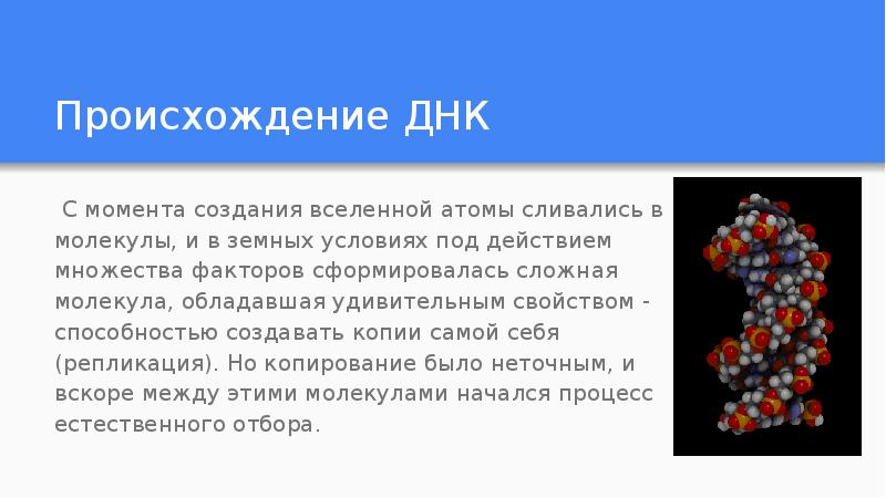 Днк на происхождение. ДНК происхождение. ДНК для презентации. Происхождение названия ДНК. Эгоистичный ген презентация.