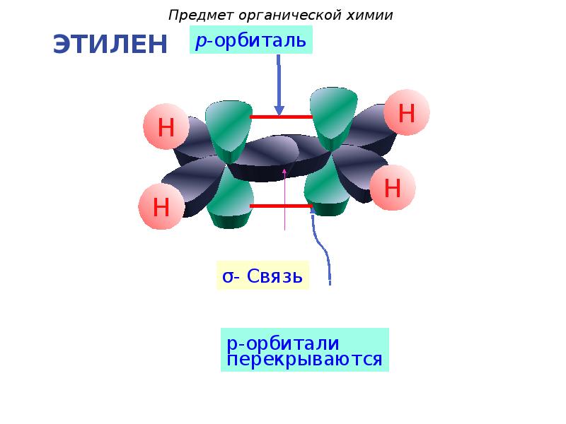 Теория строения бутлерова химия. Предмет органической химии. Предмет органической химии теория. Первое положение химия. Положения органической химии.