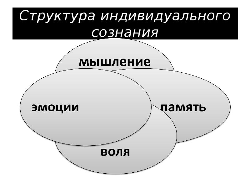 Индивидуальная структура