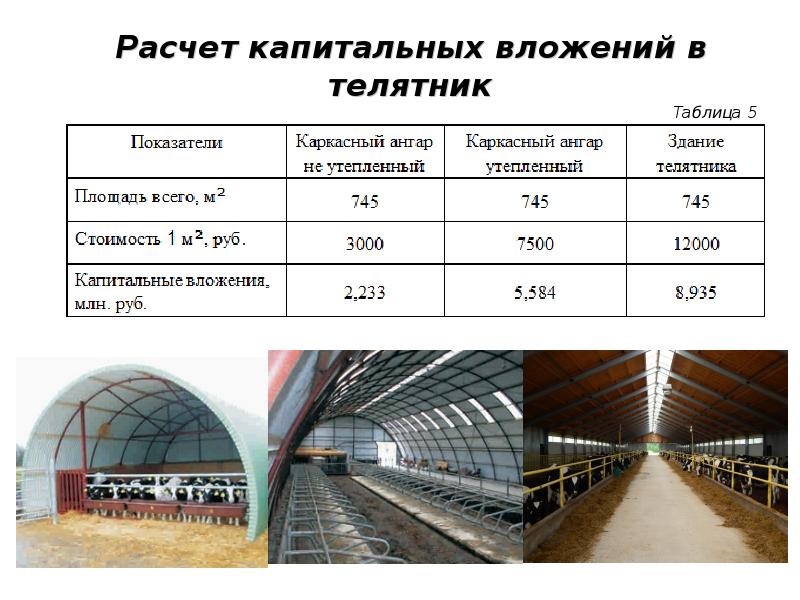 Выращивание ремонтного молодняка крс презентация