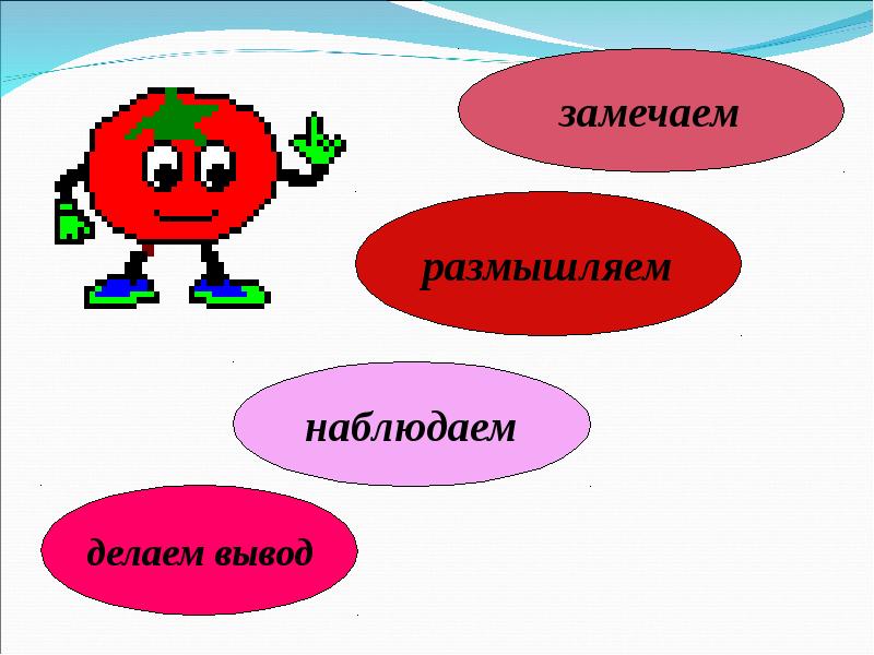 Смешные картинки для заключения презентации