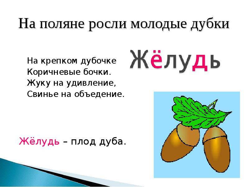 Желудь как пишется