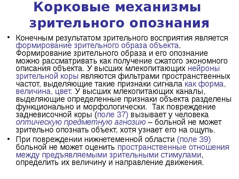 Связана с конечным результатом. Механизм зрительного восприятия физиология. Механизм восприятия зрительных образов. Центральные механизмы восприятия зрительной информации. Зрительный образ это физиология.