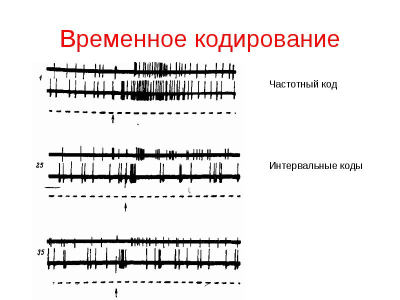 Временное кодирование