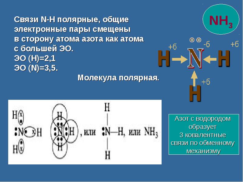 Соединения атомов азота и водорода. Связь между атомами азота. Общие электронные пары. Общие электронные пары азота. Общие электронные пары у аммиака.