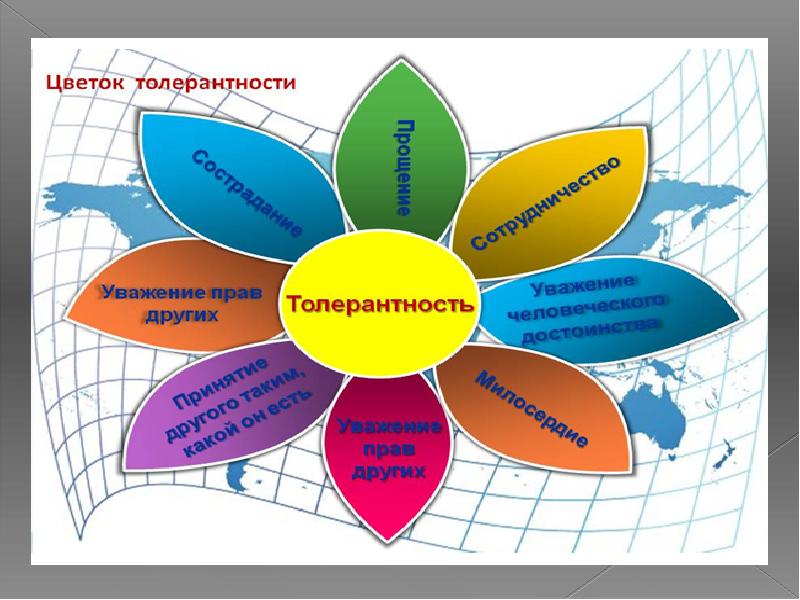 Цветок толерантности картинка