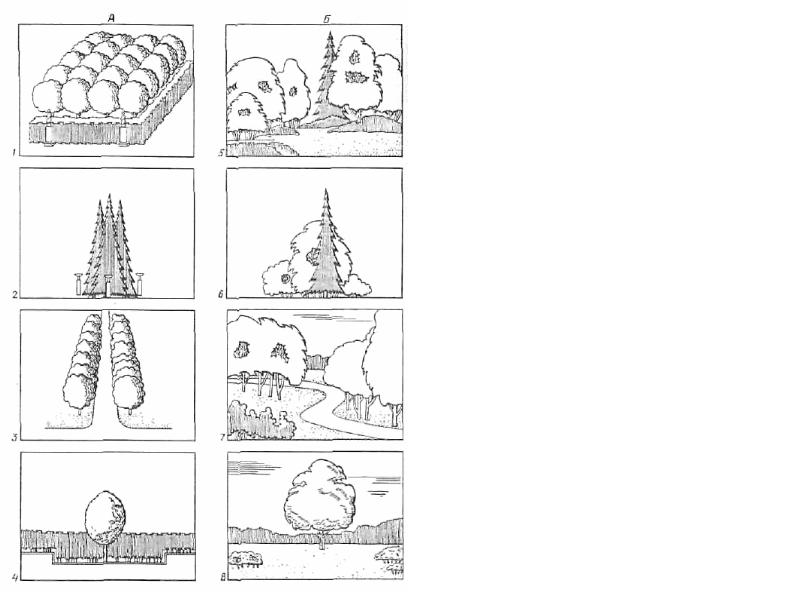 Схемы полезащитных лесных полос. Рубки формирования ландшафта. Формирование насаждений. Ажурно продуваемая конструкция лесных полос. Агролесомелиорация мелиорация.