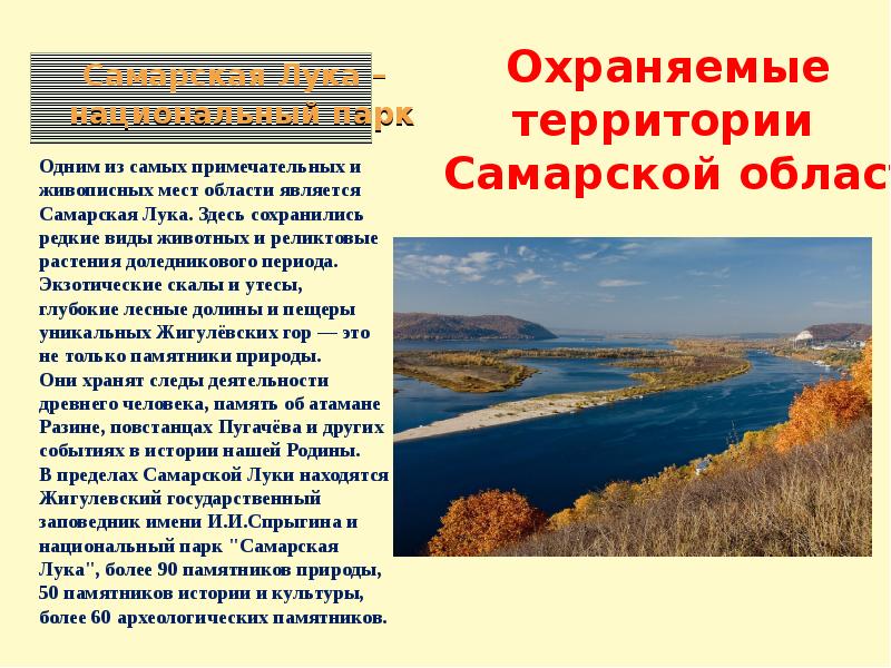 Какие особенности природы. Природа родного края Самарская обл. Природа Самарской области доклад. Природа Самарского края презентация. Сообщение о Самарском крае.