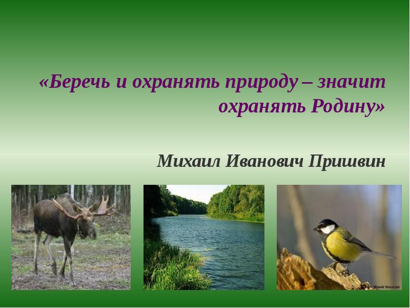 Охранять природу значит охранять родину. Беречь природу значит беречь родину. Береги природу береги родину. Береги природу бережешь родину.