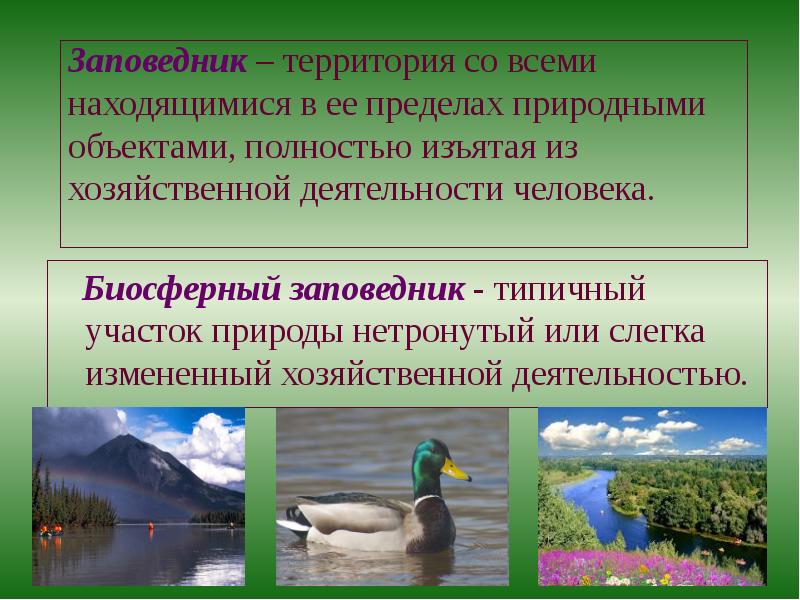 Реестры природных объектов. Что такое биосферный заповедник кратко. Биосферический заповедник это. Заповедник понятие. Биосферный заповедник это определение.