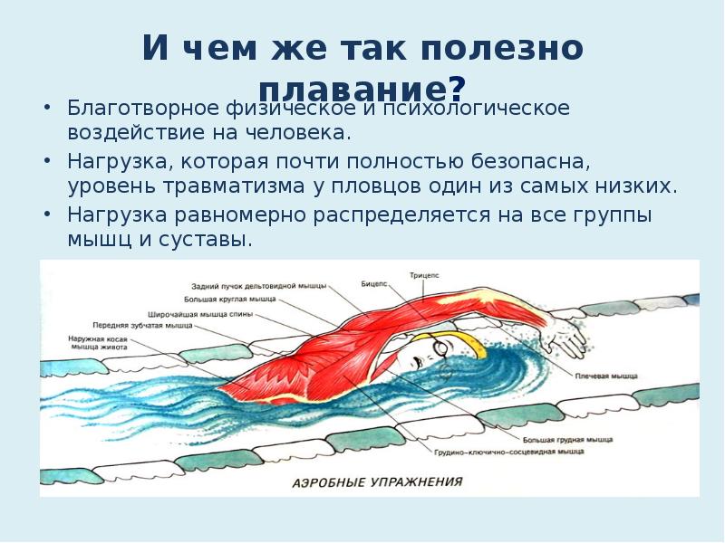 Польза плавания презентация