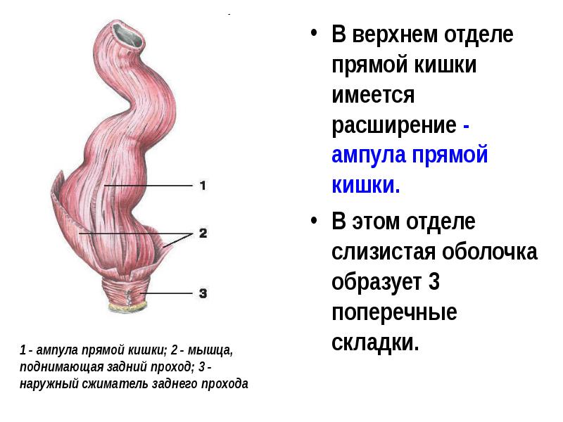 Различия MMA, MIG/MAG и TIG сварки: преимущества и недостатки