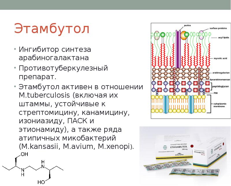 Презентация антибиотики 10 класс