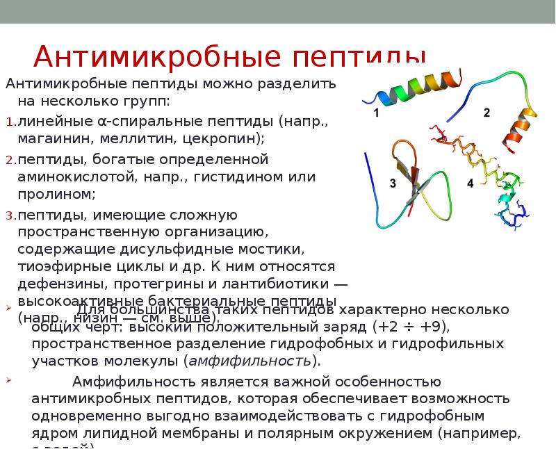 Проект на тему антибиотики вред или польза