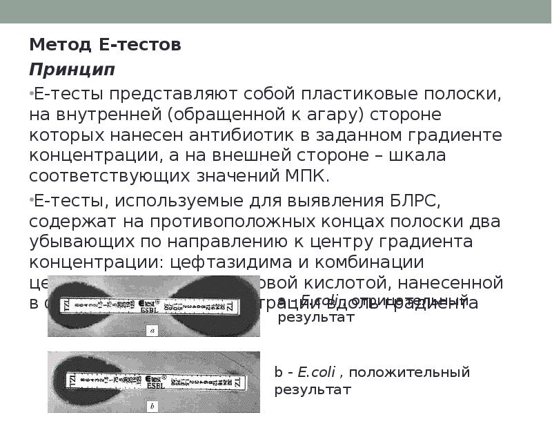 Метод тестов