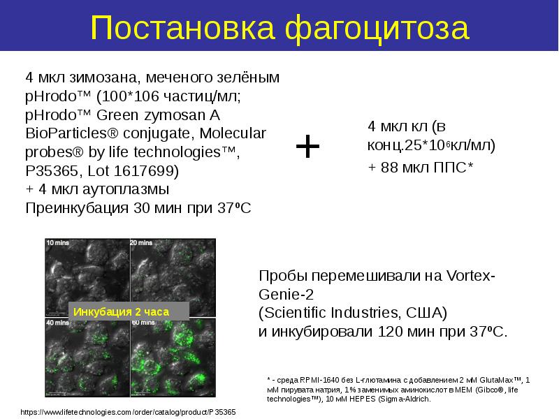 10 мкл в кл. Мкл в кл. Клеток на мкл. 1 Мкл.