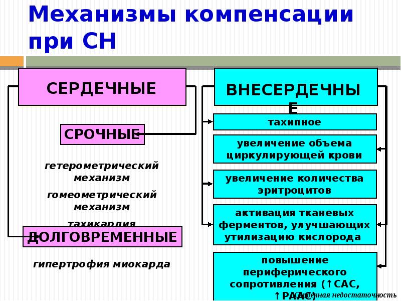 Сердечная недостаточность патофизиология презентация