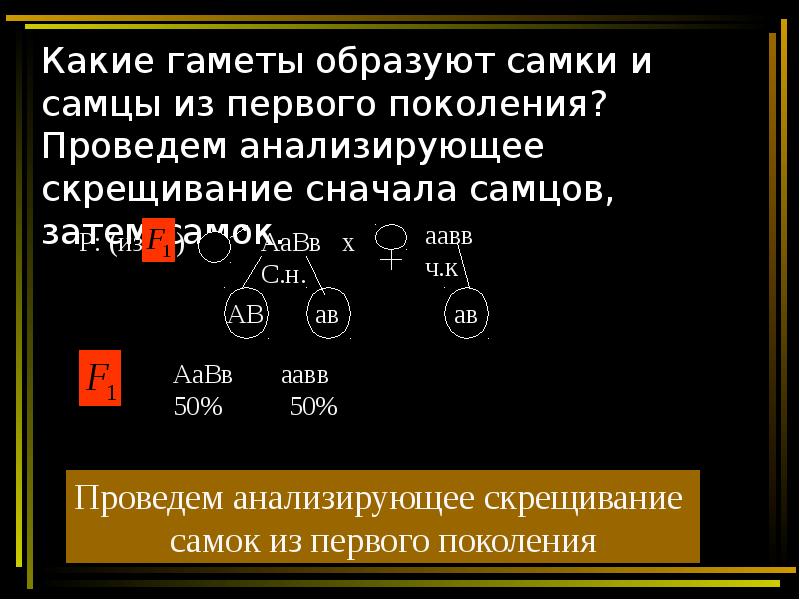 Хромосомная теория наследования 10 класс презентация